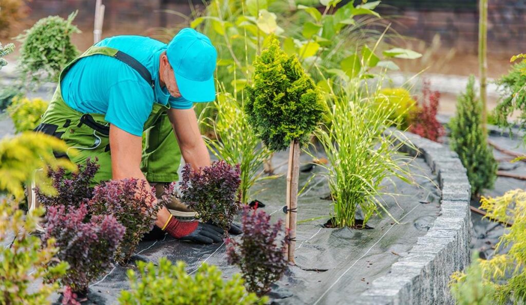 Transforming Spaces The Complete Guide to Landscape Services