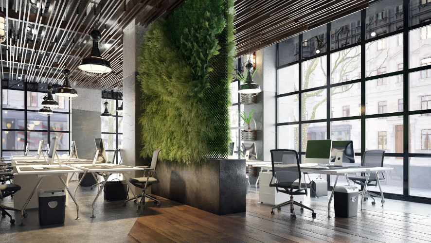 rental of office indoor plants