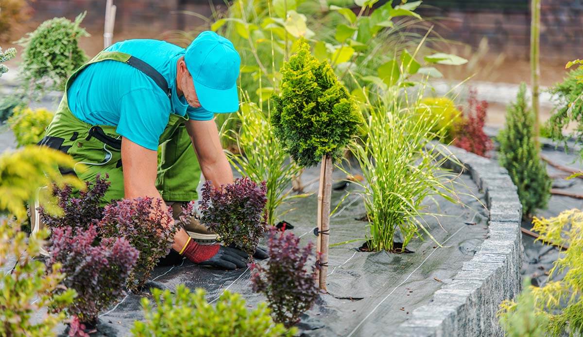 Transforming Spaces The Complete Guide to Landscape Services